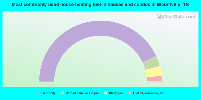 Most commonly used house heating fuel in houses and condos in Blountville, TN