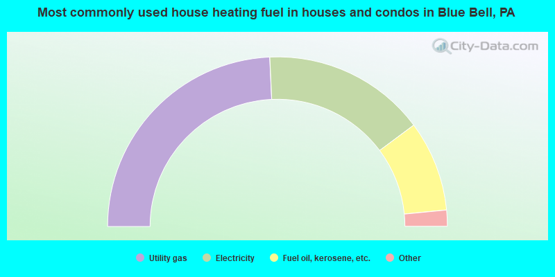 Most commonly used house heating fuel in houses and condos in Blue Bell, PA