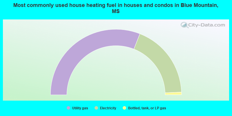 Most commonly used house heating fuel in houses and condos in Blue Mountain, MS