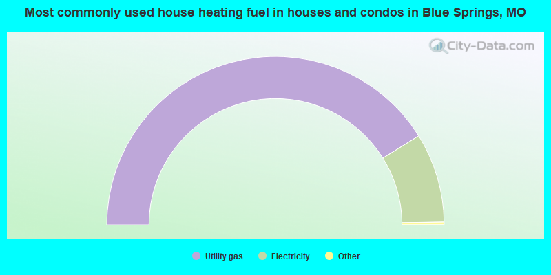 Most commonly used house heating fuel in houses and condos in Blue Springs, MO