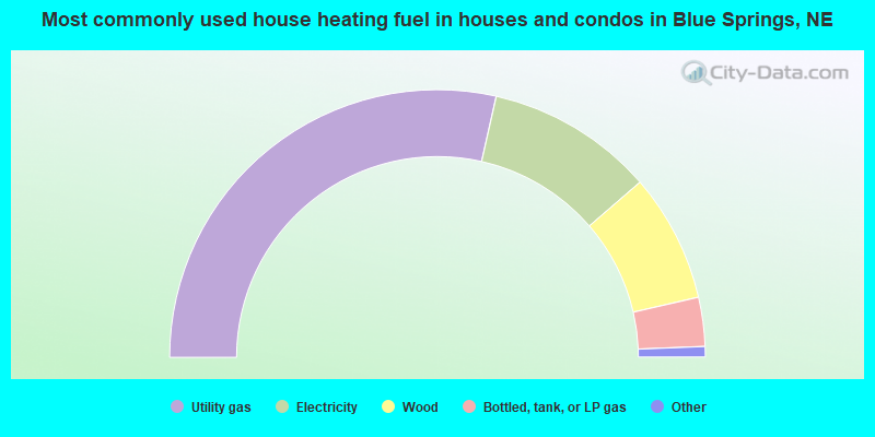 Most commonly used house heating fuel in houses and condos in Blue Springs, NE