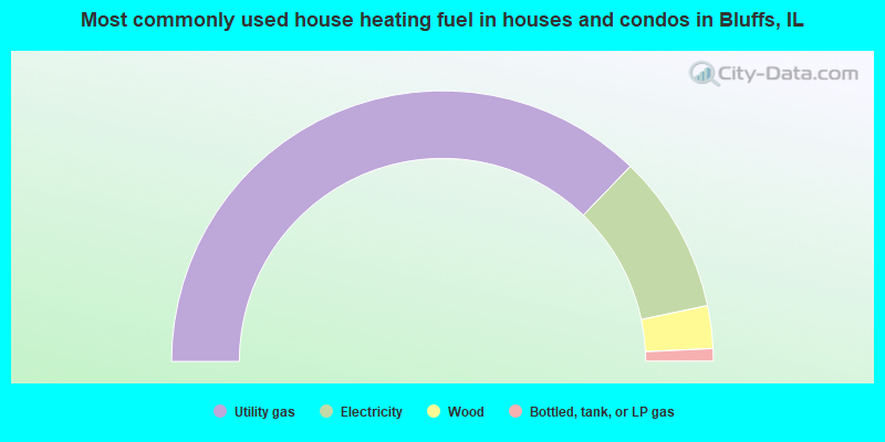 Most commonly used house heating fuel in houses and condos in Bluffs, IL