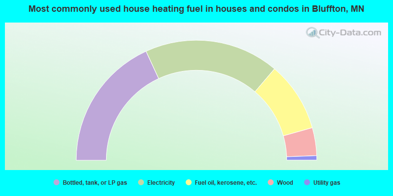 Most commonly used house heating fuel in houses and condos in Bluffton, MN