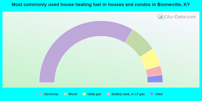 Most commonly used house heating fuel in houses and condos in Booneville, KY