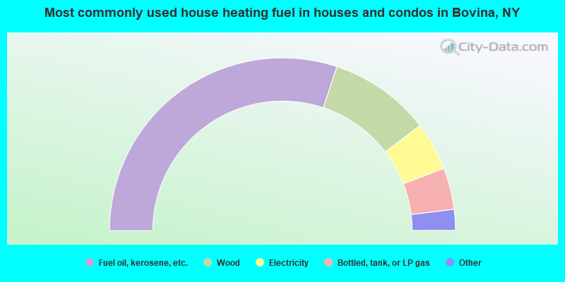 Most commonly used house heating fuel in houses and condos in Bovina, NY