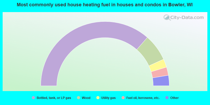 Most commonly used house heating fuel in houses and condos in Bowler, WI