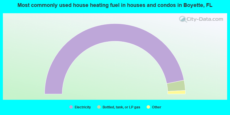 Most commonly used house heating fuel in houses and condos in Boyette, FL