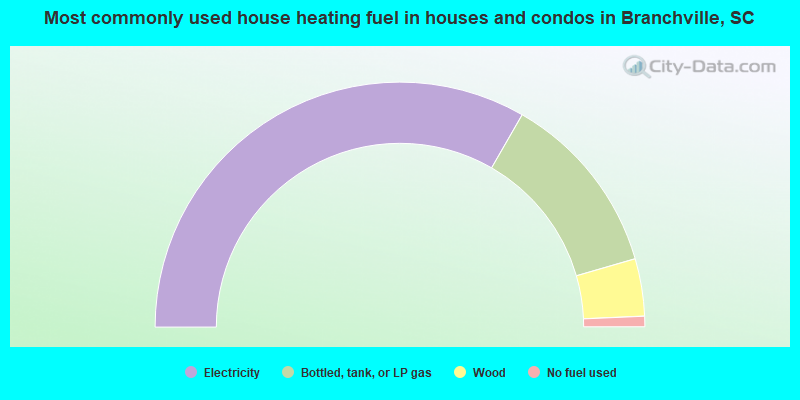 Most commonly used house heating fuel in houses and condos in Branchville, SC