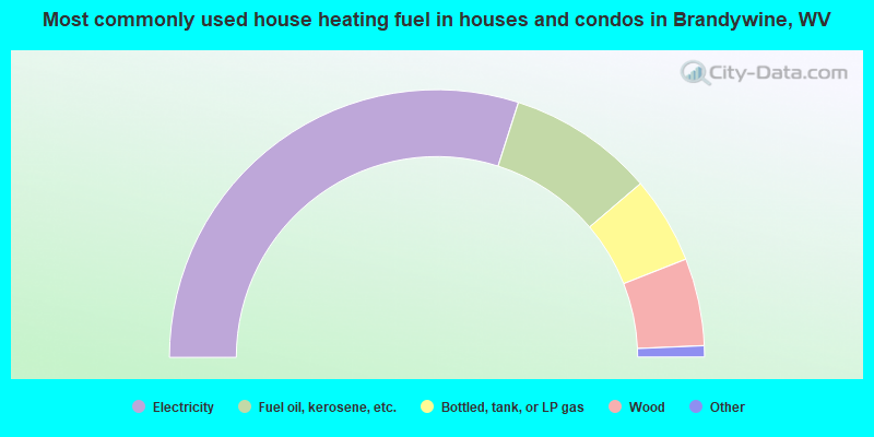 Most commonly used house heating fuel in houses and condos in Brandywine, WV