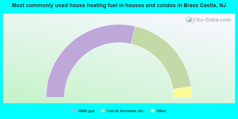 Most commonly used house heating fuel in houses and condos in Brass Castle, NJ