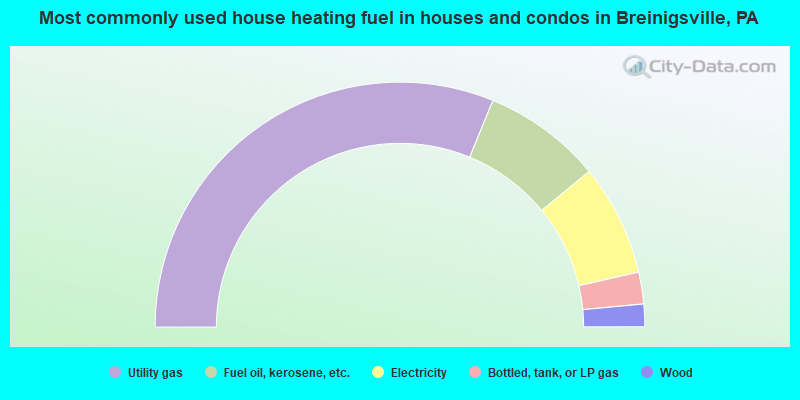Most commonly used house heating fuel in houses and condos in Breinigsville, PA