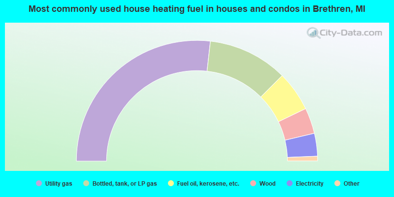 Most commonly used house heating fuel in houses and condos in Brethren, MI