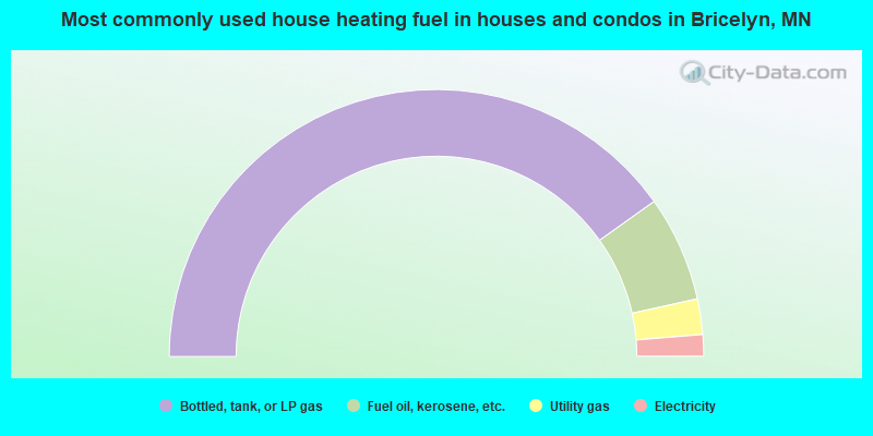 Most commonly used house heating fuel in houses and condos in Bricelyn, MN