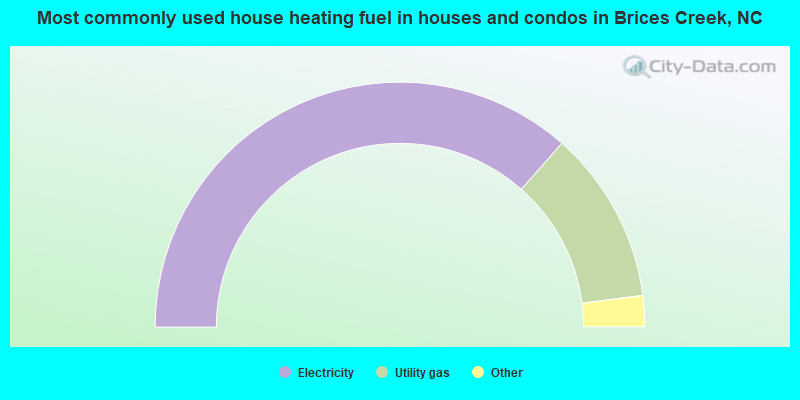 Most commonly used house heating fuel in houses and condos in Brices Creek, NC