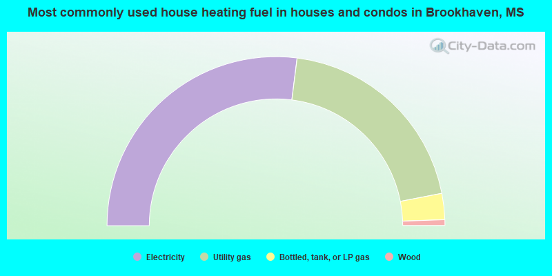 Most commonly used house heating fuel in houses and condos in Brookhaven, MS