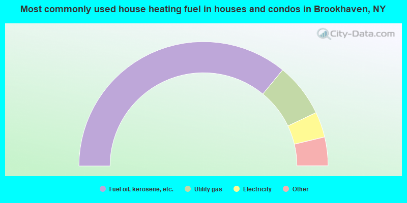 Most commonly used house heating fuel in houses and condos in Brookhaven, NY