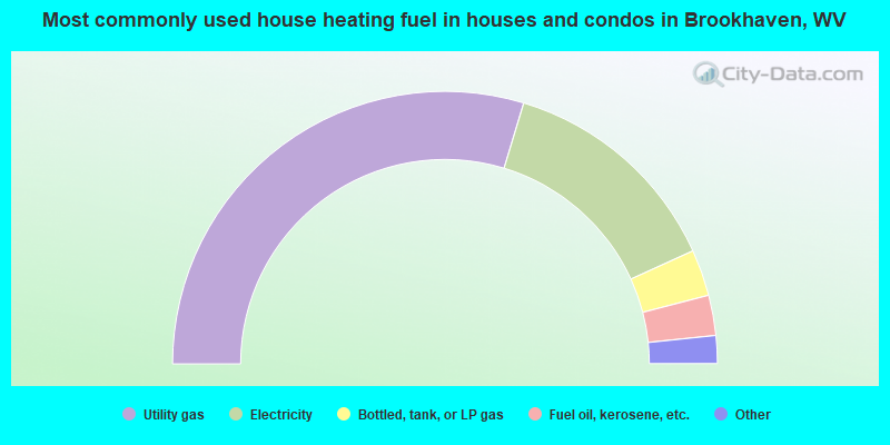 Most commonly used house heating fuel in houses and condos in Brookhaven, WV