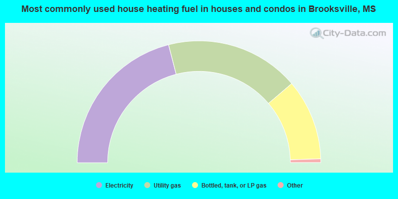 Most commonly used house heating fuel in houses and condos in Brooksville, MS