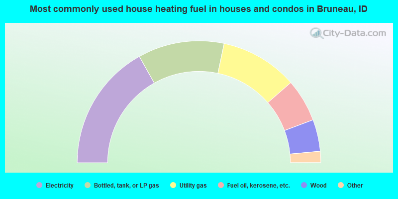 Most commonly used house heating fuel in houses and condos in Bruneau, ID
