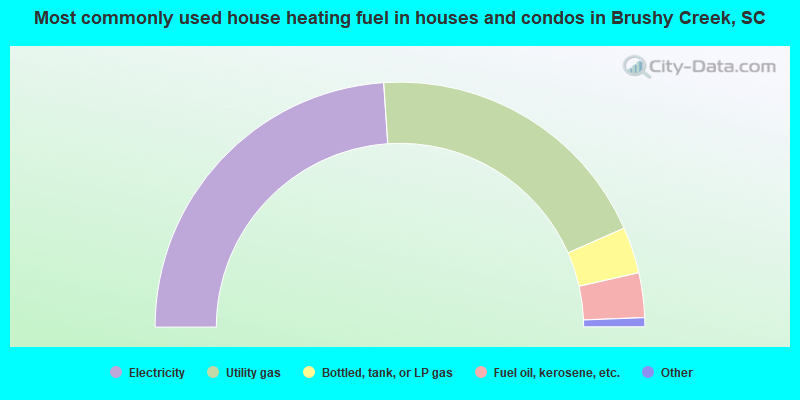 Most commonly used house heating fuel in houses and condos in Brushy Creek, SC