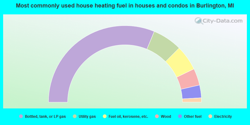 Most commonly used house heating fuel in houses and condos in Burlington, MI