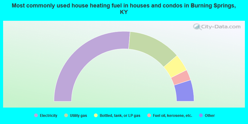 Most commonly used house heating fuel in houses and condos in Burning Springs, KY
