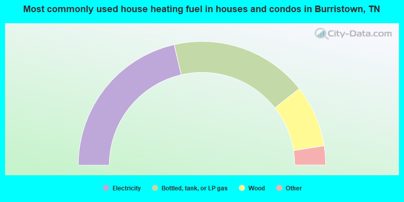 Most commonly used house heating fuel in houses and condos in Burristown, TN