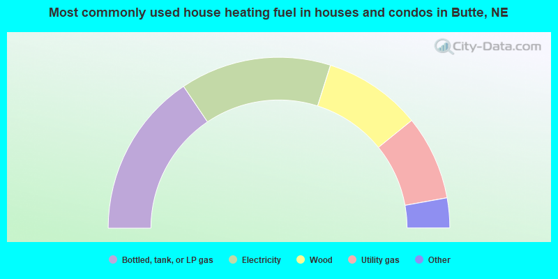 Most commonly used house heating fuel in houses and condos in Butte, NE