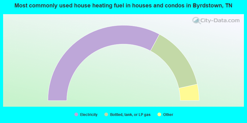 Most commonly used house heating fuel in houses and condos in Byrdstown, TN