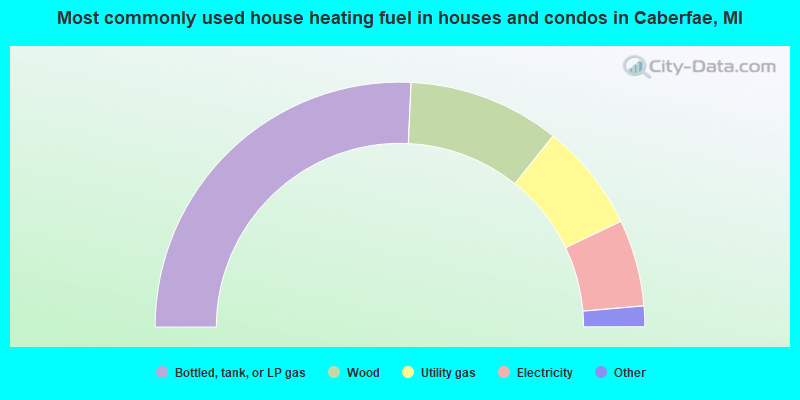 Most commonly used house heating fuel in houses and condos in Caberfae, MI