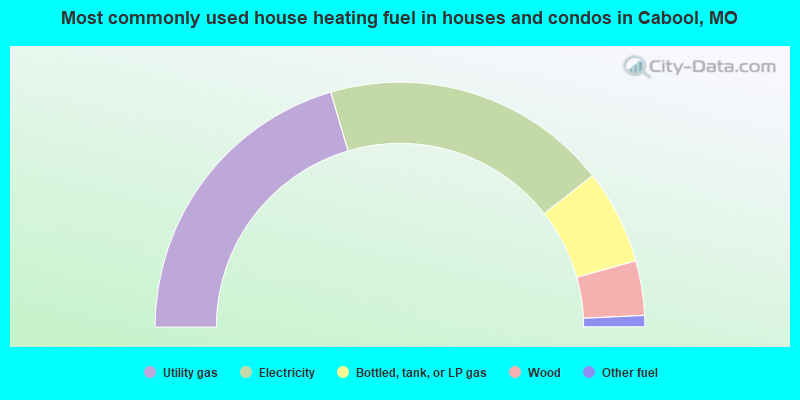 Most commonly used house heating fuel in houses and condos in Cabool, MO