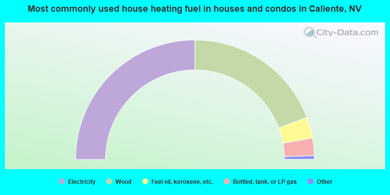 Most commonly used house heating fuel in houses and condos in Caliente, NV
