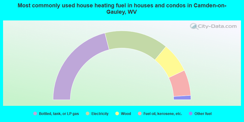 Most commonly used house heating fuel in houses and condos in Camden-on-Gauley, WV
