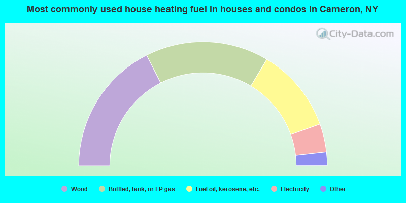Most commonly used house heating fuel in houses and condos in Cameron, NY