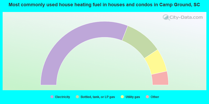 Most commonly used house heating fuel in houses and condos in Camp Ground, SC