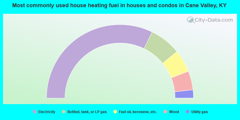 Most commonly used house heating fuel in houses and condos in Cane Valley, KY