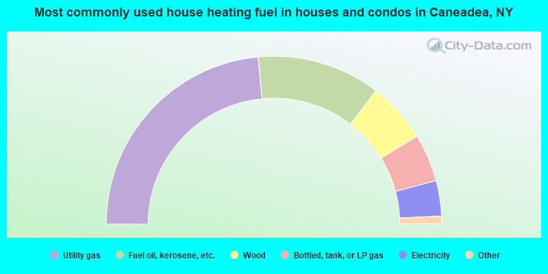 Most commonly used house heating fuel in houses and condos in Caneadea, NY
