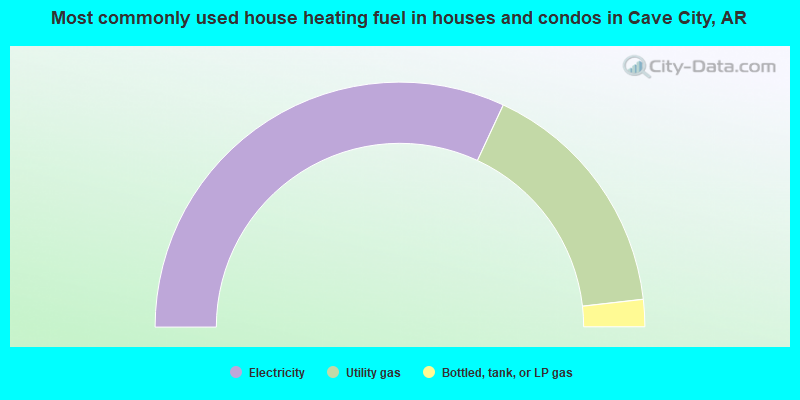 Most commonly used house heating fuel in houses and condos in Cave City, AR