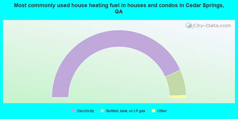 Most commonly used house heating fuel in houses and condos in Cedar Springs, GA