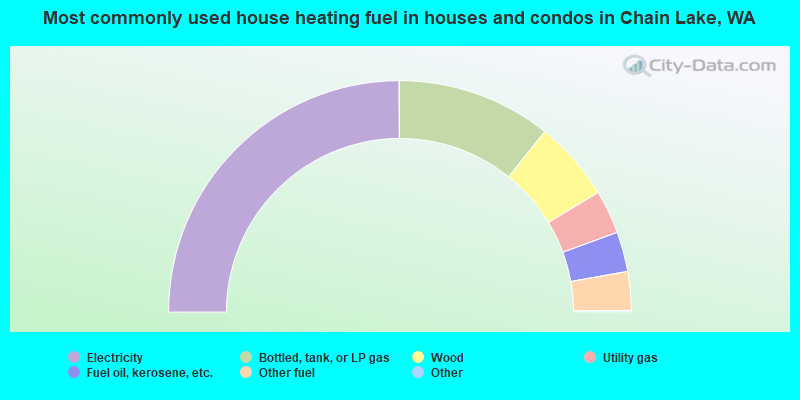 Most commonly used house heating fuel in houses and condos in Chain Lake, WA