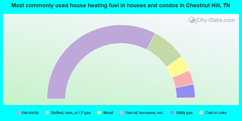 Most commonly used house heating fuel in houses and condos in Chestnut Hill, TN