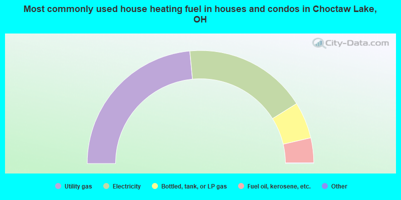 Most commonly used house heating fuel in houses and condos in Choctaw Lake, OH