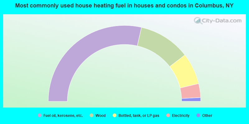 Most commonly used house heating fuel in houses and condos in Columbus, NY