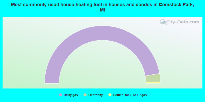 Most commonly used house heating fuel in houses and condos in Comstock Park, MI