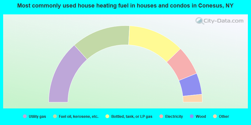 Most commonly used house heating fuel in houses and condos in Conesus, NY
