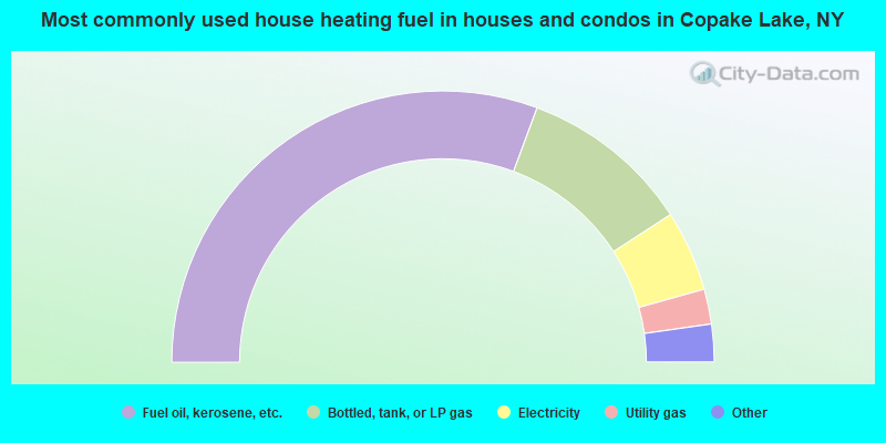 Most commonly used house heating fuel in houses and condos in Copake Lake, NY