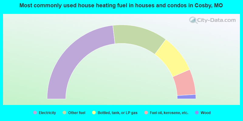 Most commonly used house heating fuel in houses and condos in Cosby, MO