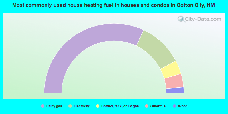 Most commonly used house heating fuel in houses and condos in Cotton City, NM