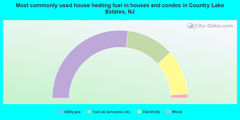 Most commonly used house heating fuel in houses and condos in Country Lake Estates, NJ