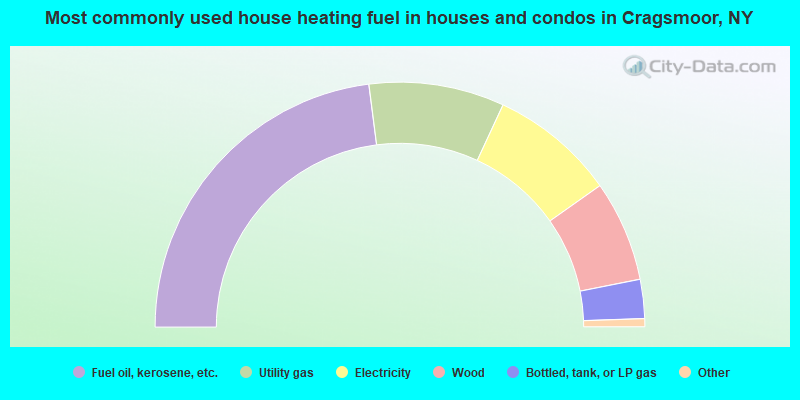 Most commonly used house heating fuel in houses and condos in Cragsmoor, NY